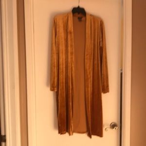 Gold Velvet Jacket (long)